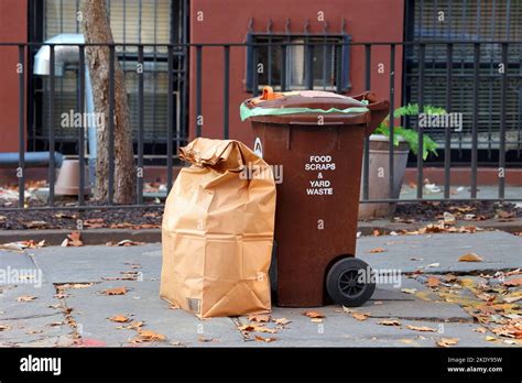 A brown bin for food scraps and yard waste set at curbside for ...