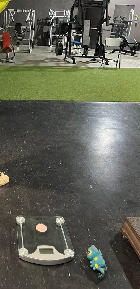 Shelby Dueitt on Twitter: "https://t.co/YF7Bm1H8Ze" / Twitter