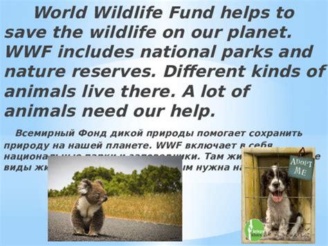 Animals need our help