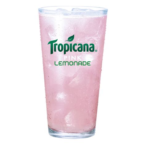 Tropicana Fruit Punch Juice Drink Fountain Syrup Bib, 5 Gallon ...