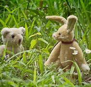 Image result for Bear and Bunny Beach
