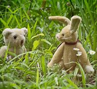 Image result for Blair Bear and Bunny Bunny