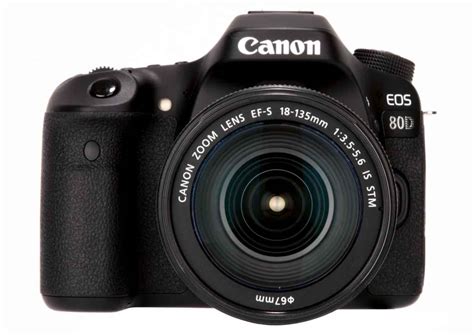 Best Canon DSLR Camera 的图像结果