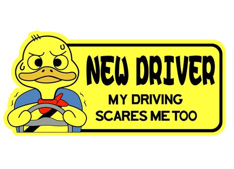 New Driver Sign Student Driver Decal Bumper Sticker Print and Cut SVG ...