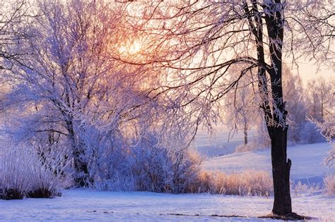 Winterbilder Bilder - Kostenloser Download auf Freepik