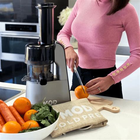 How Does A Cold Press Juicer Work | Storables