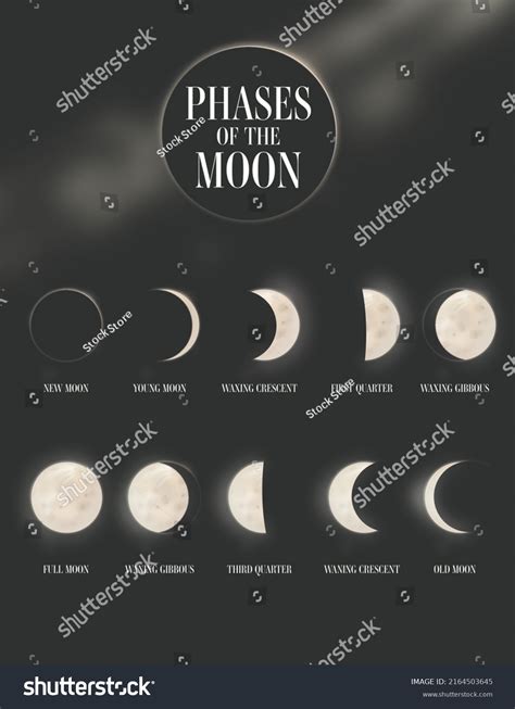 Diagram Phases Moon Stock Photo 2164503645 | Shutterstock