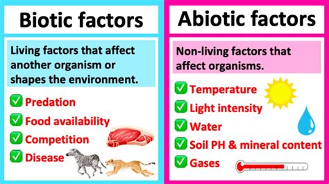 Abiotic component Types 的图像结果