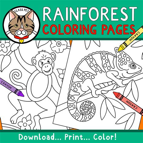 Rainforest Animals Coloring Pages