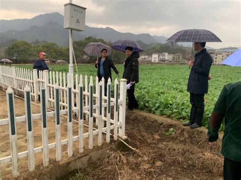 开化县农村生活污水治理工作走在全省前列连续三年获评运维管理考核优秀
