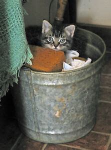 Mike's Vintage Rescue | eBay Stores