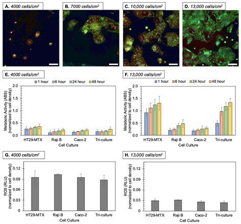 Characterization of a Human In Vitro Intestinal Model for the Hazard ...