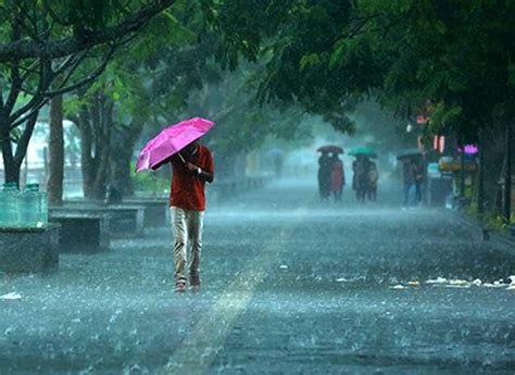 Commodity Superfast: Monsoon Reaches All Parts Of Andaman-Nicobar: IMD