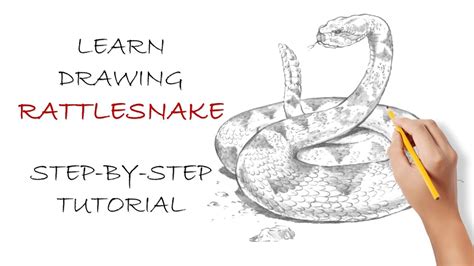 How to Draw a Realistic Rattlesnake Easy Step-By-Step | Realistic Snake ...