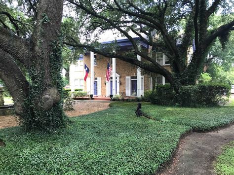 7808 Dixie Dr, Houston, TX 77087 | Homes.com