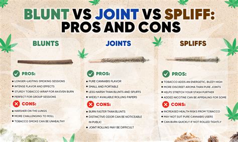 Blunts vs. Joints vs. Spliffs: What's the Difference | Mooselabs