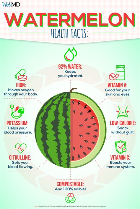 Foods That Are Good Sources of Water | Watermelon health benefits, Watermelon nutrition facts ...