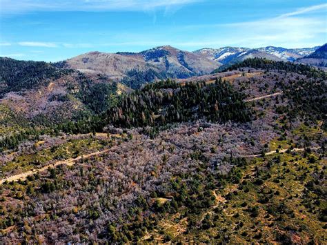 Pine Creek Rd, Mount Pleasant, UT 84647 | MLS #104703 | Zillow