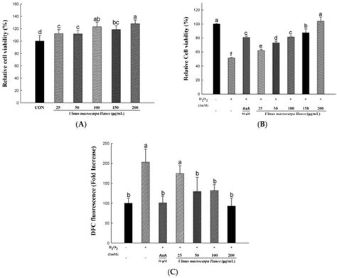Ulmus macrocarpa Hance Extracts Attenuated H2O2 and UVB-Induced Skin ...