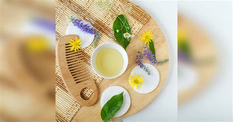 6 Best Castor Oils For Hair Under INR 500 On Nykaa 2024 | LBB