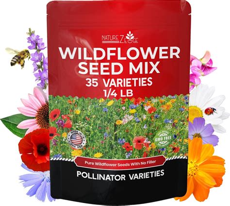 Amazon.com : Native Perennial Wildflower Seed Mixture - Multi-Colored ...