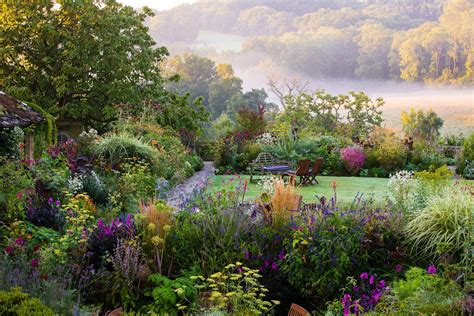 Wild Garden Ideas - ColinHummel