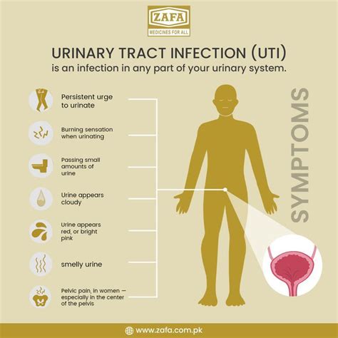 urine infection medicine