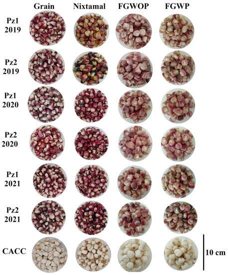 Flowered Grain Quality and Phytochemical Content of Non-Conventional ...