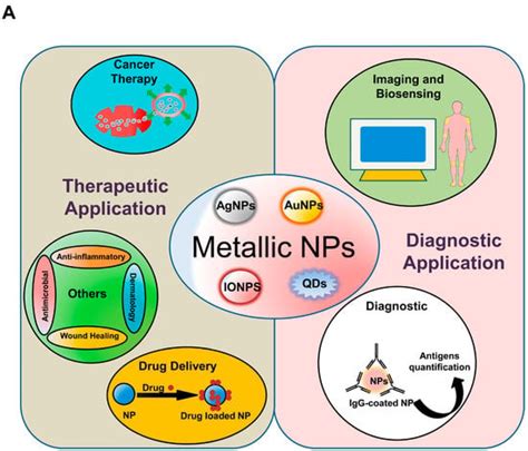 The Role of Reactive Oxygen Species (ROS) in the Biological Activities ...