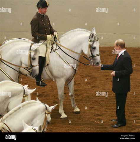 Vladimir putin horse hi-res stock photography and images - Alamy