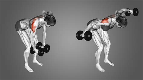 Cable Rear Delt Raise