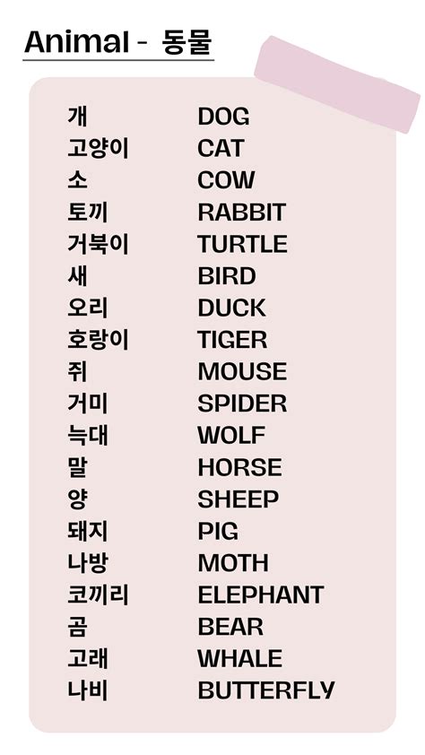 korean vocabulary | Korean phrases, Korean words, Easy korean words