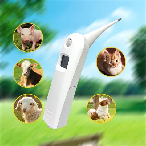 Veterinary Thermometer Fast Thermometer Animal Rectal Thermometer For ...