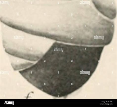 Calvin bridges hi-res stock photography and images - Alamy