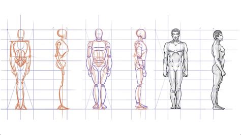 How To Draw Human Body Side View