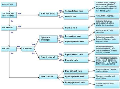 Image result for Rash Algorithm