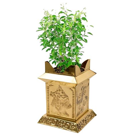 Spillbox Brass Tulasi | Tulsi | Thulasi | Madam | Maadam | Mandapam ...