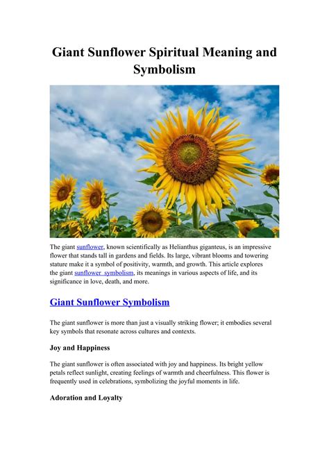 Giant Sunflower Spiritual Meaning and Symbolism.docx