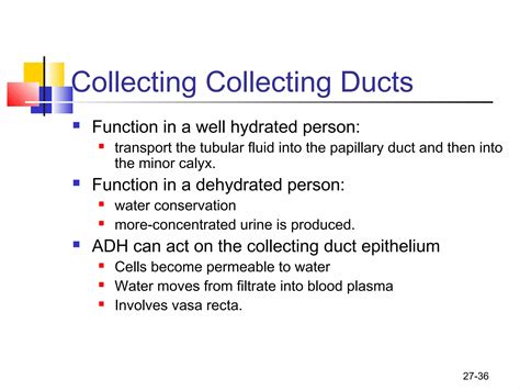 Urinary system ------(Physiology) | PPT