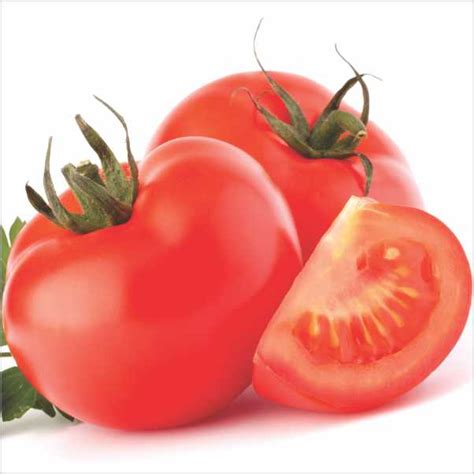 ABHIRAAJ Tomato SEMINIS
