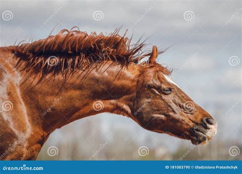 Body Shaking Exercise 的图像结果