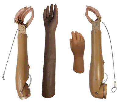 How to Use a Hand Prosthesis 的图像结果