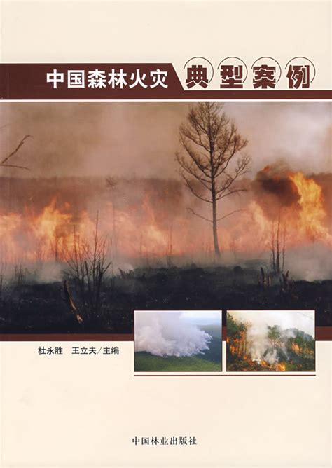 中国森林火灾典型案例_360百科