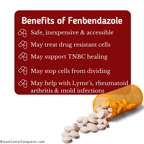 What You Need to Know About Fenbendazole And Breast Cancer - Breast Cancer Conqueror