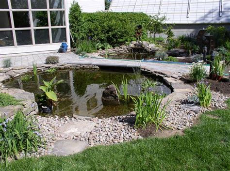 Butterfly Spanish Tutorial 的图像结果