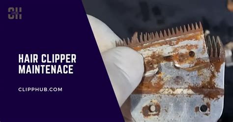 Image result for How to Clean Rust Off Clipper