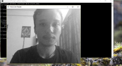 OpenCV Python Sample Code 的图像结果