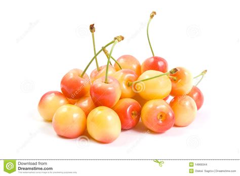 Best Cherry Stock Photos, Pictures & Royalty-Free Images - iStock