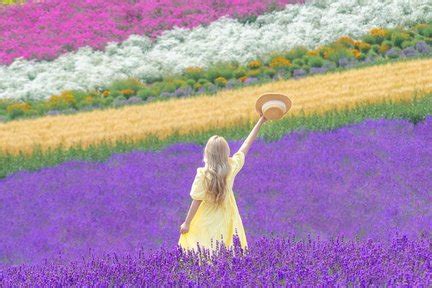 Seven Stars Tree: Everything You Need Before Visiting