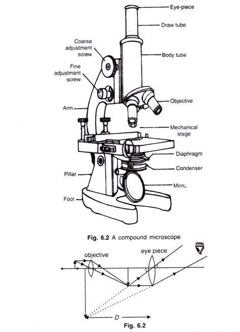 Image result for Microscope Basic Drawing